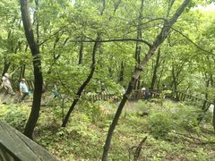 -帽儿山国家森林公园