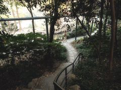 -中山公园
