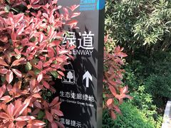 -新江湾城公园