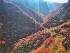 -黄花溪