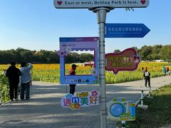 -北陵公园