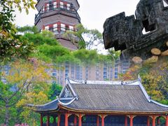 -顺峰山公园