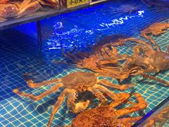 -驻海渔市(置信店)