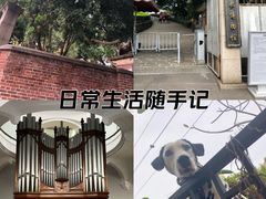 -鼓浪屿钢琴博物馆