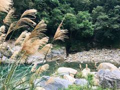 -太鲁阁公园