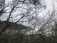 -汤山公园