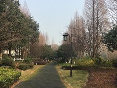 -杭州城北体育公园