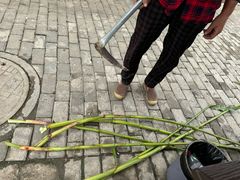 -小陆莲花蟹园农家乐(莲花岛店)