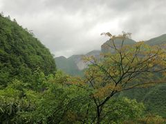 -鹿院坪生态旅游景区