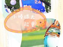-黄龙魔方运动培训·棒球·橄榄球