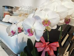 -LAB COFFEE来杯咖啡(浦仓路店)