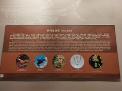 -辽宁古生物博物馆