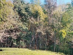 -敬亭山风景名胜区