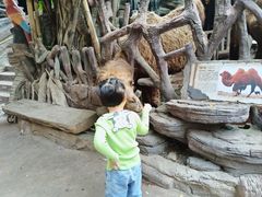 -长鹿旅游休博园
