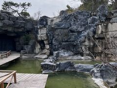-上海吴淞炮台湾国家湿地公园