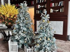 -哈布斯扒房(华发商都店)