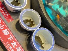 -魏铭鱼头捞饭(嘉善店)