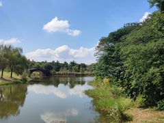 -南湖湿地公园