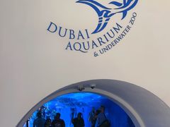 -迪拜水族馆及水下动物园
