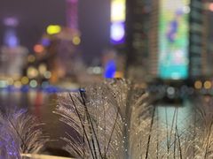 -RIVIERA 松鹤楼(外滩店)