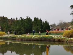 -无锡梅园公园