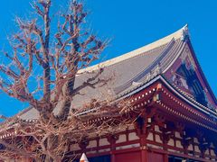 -浅草寺