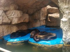 -华夏文旅海洋公园