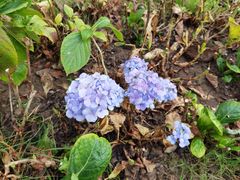 -中国农科院国家农业科技展示园