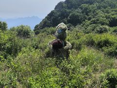 -白草畔自然风景区