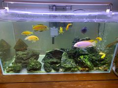 -Rabbit Cafe私房西餐甜点咖啡(栖霞路店)