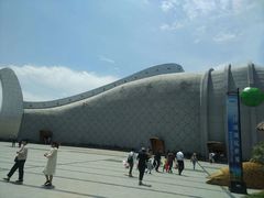 -泗洪洪泽湖湿地景区