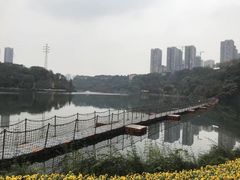 -重庆彩云湖湿地公园
