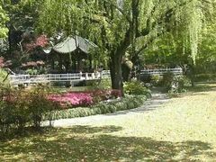 -申粤轩酒楼·三十年粤菜经典(丁香花园店)