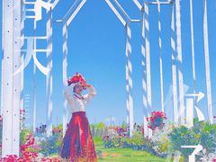 -荷兰花海