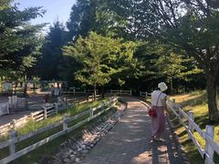-神户市立六甲山牧场