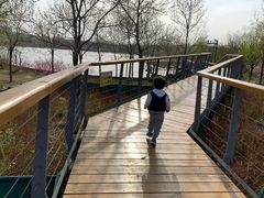 -东郊湿地公园
