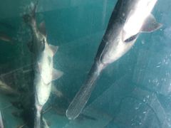 -漓江又一軒·广西菜·桂林米粉(梅林店)