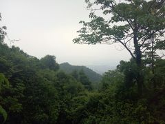-火炉山森林公园