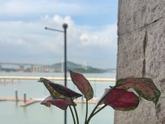 -22ºN BISTRO西餐&酒馆