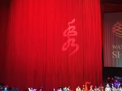 -水秀国际大剧院