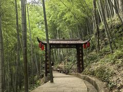 -石台牯牛降景区