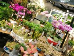 -豆豆花艺(新光天地店)