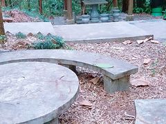 -滴水岩森林公园