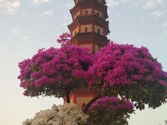 -广州莲花山旅游区