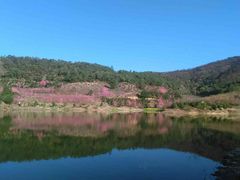 -王家小院
