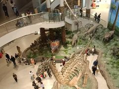 -辽宁古生物博物馆