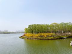 -大兴滨河森林公园