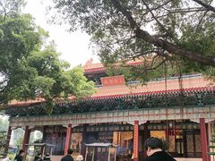 -广东圆玄道观
