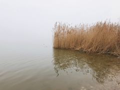 -天津东丽湖风景区