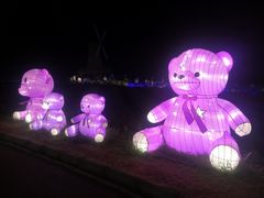 -大塘金香草谷